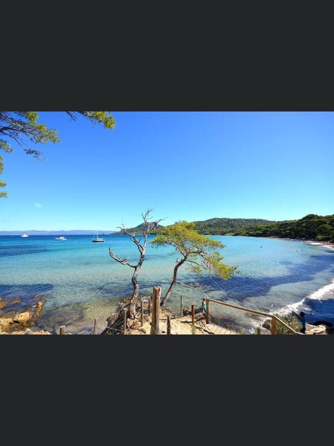 Appartement Pieds Dans L'Eau Vue Mer Bormes Les Mimosas Esterno foto
